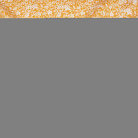 Ткань Штапель 110гр/м2, 100вск, 145см, цветы, горчичный, VT-11157/D8/C#3_TOG01